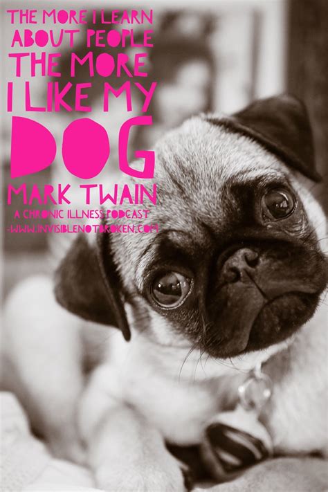 The pug has been known by many names: 14 Pug Quotes About Life | Page 2 of 3 | PetPress