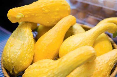 Spaghetti squash is one of the things that my garden loves to overproduce! How to Blanch Squash for freezing | Fruit and veg, Frozen ...
