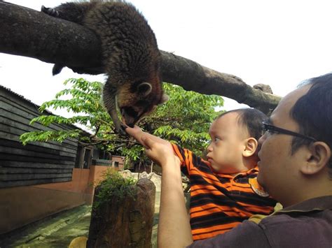 Giving up was never an option for farm in the city throughout 2 difficult mcos. Lawatan ke Farm in the City, Seri Kembangan - CozyBaby Blog