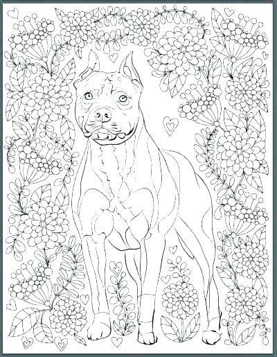 Search through 623,989 free printable colorings at getcolorings. Cute Pit Bull Free Coloring Pages - Workberdubeat Coloring