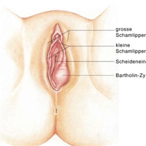 Herpes eine potenziell todliche erkrankung wissen. Ist das normal bei der Frau? (Scheide, Schamlippen)