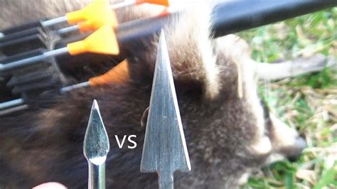 The.625 blowgun, given a strong set of lungs and a long barrel, is capable of launchinbg a dart at muzzle velocities of up to 350 feet per second. Cold Steel Blowgun Dart Review - mini broad head vs. razor ...