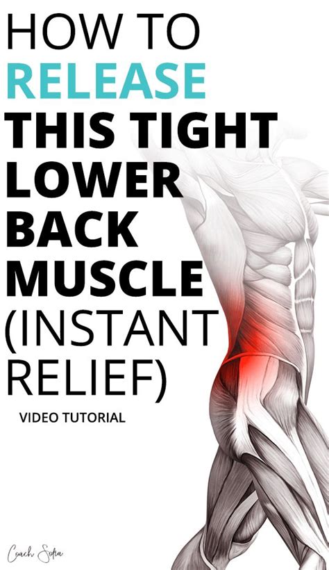 Low back strain typically worsens with specific movements that activate the affected. Pin on Back Pain Relief