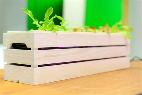 I went with a 18 gal. Hydroponic grow box