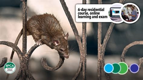 After all, the judges have a hard job c. Level 2 Pest Management - 5-day residential course and exam