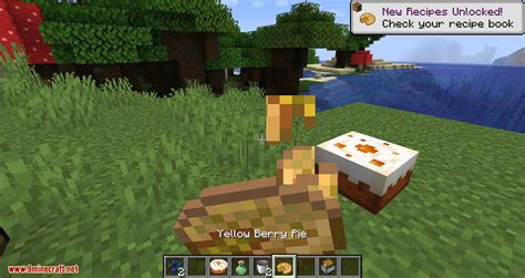 View all ftb twitter feed. More Berries Mod 1.16.5/1.15.2 (More Berrie-Foods ...