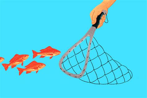 Free fishing animations fishing clipart animated fishing. Think Before You Fish for Bargains in Chinese Stocks - WSJ