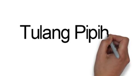 Berdasarkan bentuknya ada seni vokal, musik instrumental dan juga campuran antara vokal dan instrumental. Jenis-jenis tulang pada manusia berdasarkan bentuknya. - YouTube