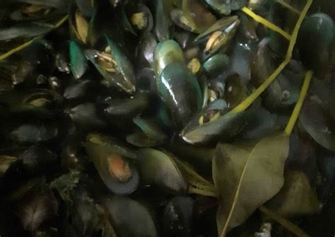 Bumbu kuning yang simpel sangat sedap dipadukan dengan ikan tongkol. Kerang Hijau Kuah Bumbu Kuning : Resep Kerang Hijau Kuah Kuning Yang Enak : Erva shanty 157.566 ...