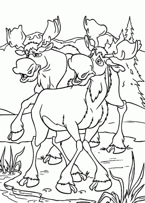 Find all the books, read about the author, and more. Coloring Pages Of Moose - Coloring Home