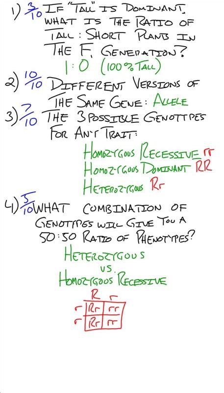 Start studying dna replication worksheet. Transcription And Translation Practice Worksheet Answers Quizlet | Asdela