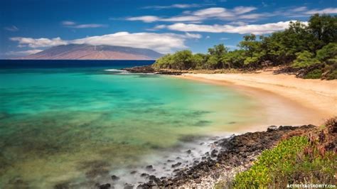 You might see them in a few places around maui, and they are known for their fish tacos. 10 Maui Beaches Worth Sharing