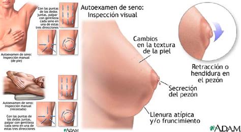 Did you like the project? autoexamen-de-mama - BLOVVER BlogLover