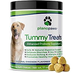 As your pup gets older, she needs a. Best Dog Food for Senior Dogs with Sensitive Stomachs