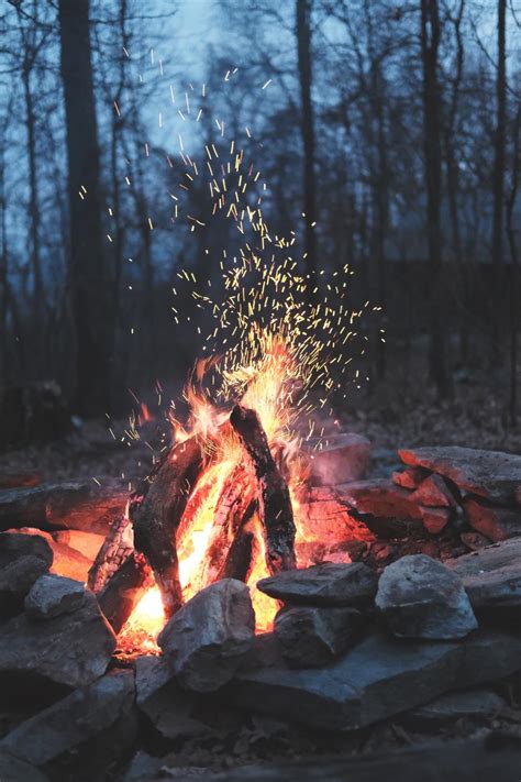 Fire free stock photos we have about (837 files) free stock photos in hd high resolution jpg images format. Free Photo of nature, fire, bonfire - StockSnap.io