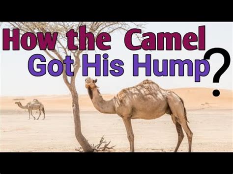 But he has never yet caught up with the three days that he missed at the beginning of the world, and he has never yet learned how. How the Camel got His Hump written by Rudyard Kipling ...