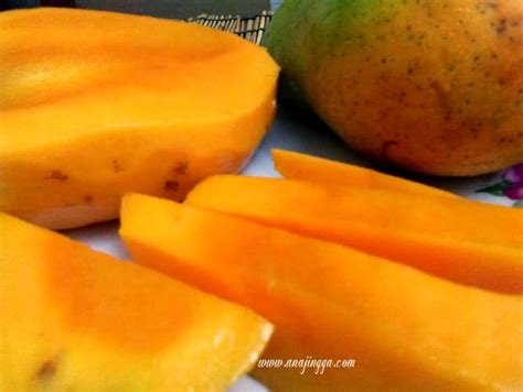 Kenal mangga harum manis durian memang popular namun mangga harum manis agak tersohor juga. Cara Kenal Buah Mangga Harum Manis Asli