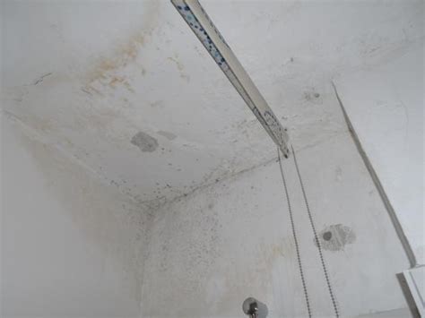 mietminderung bei schimmel im wohnzimmer - atbaldwin