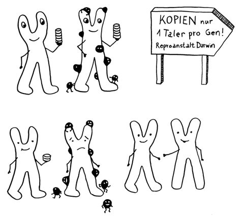 In mathematics, a dessin d'enfant is a type of graph embedding used to study riemann surfaces and to provide combinatorial invariants for the action of the absolute galois group of the rational numbers. Parasitismus von Anfang an | Friendly Fire