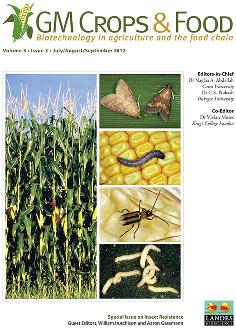 Plant genomics and biotechnology have recently made enormous strides, and hold the potential. Western corn rootworm and Bt maize: Challenges of pest ...