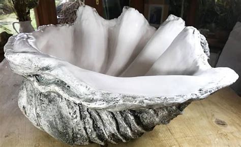 Large clam shell bowl decorating. XXL Giant Clam Shell Sculpture a piece of Art In Authentic ...