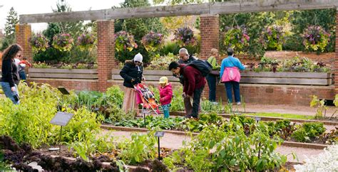 Check spelling or type a new query. Demonstration Gardens at the Chicago Botanic Garden ...
