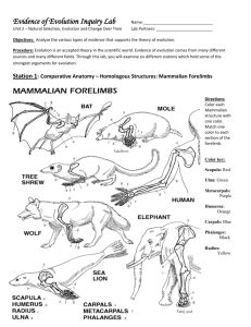 Natural selection student guide answer key. studylib.net - Essys, homework help, flashcards, research ...