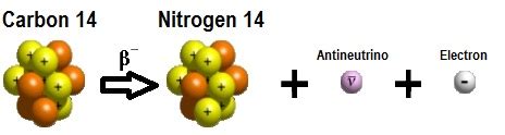 The answer is a matter of basic physics. Carbon 14 Dating of Dinosaur Bones | Genesis Park