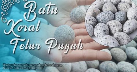 JUAL BATU KORAL TELUR PUYUH SEMUA UKURAN ~ JUAL BATU ALAM ...