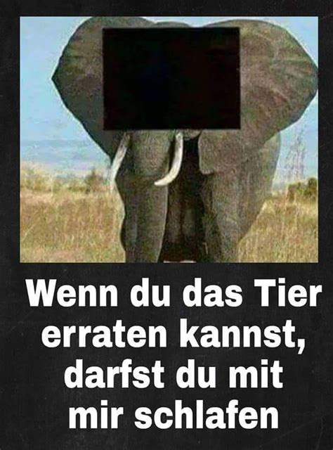 Wenn du das letztere vermeiden willst, lass die anmachsprüche von der stange einfach links liegen und denk dir selbst etwas aus, das esprit und originalität verrät. (notitle) - Daniel D. | Lustige humor bilder, Witzige ...