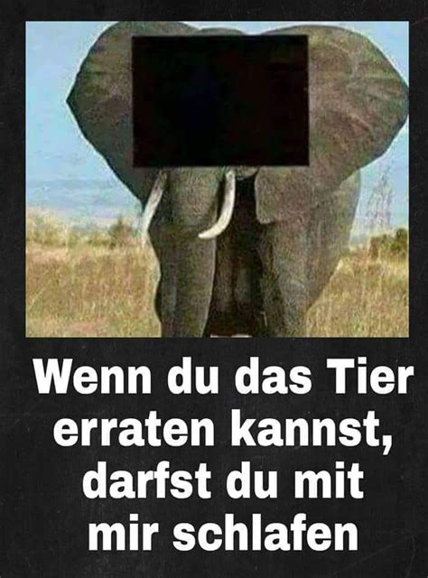 Jul 13, 2020 · der postillon hat recherchiert und präsentiert ihnen 17 anmachsprüche, mit denen sie unmöglich scheitern können: (notitle) - Daniel D. | Lustige humor bilder, Witzige ...