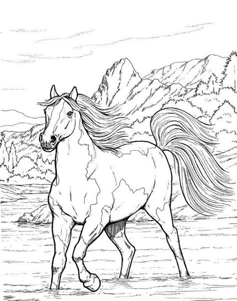 40+ realistic horse coloring pages for printing and coloring. Pin on Adult Coloring Pages