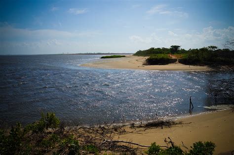 Check for upcoming activities at jamaica bay wildlife refuge, such as walks, lecture series and. Jamaica Bay Wildlife Refuge | Jeffrey Zeldman | Flickr