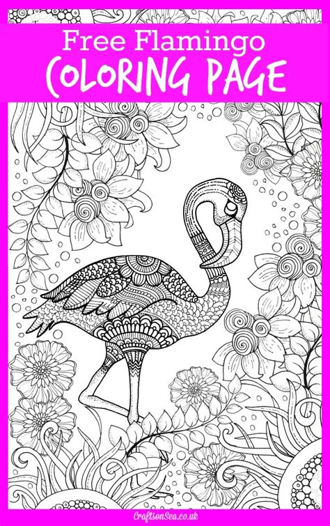 We have one of the best coloring pages for kids collection online. Free Flamingo Colouring Page for Adults - Clrg