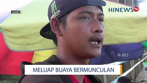 Mimpi melihat buaya berbeda dari mimpi digigit buaya, serta mimpi membunuh buaya. AIR SUNGAI MELUAP, BUAYA DI TANJABTIM BERMUNCULAN - YouTube