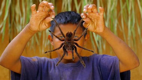 Thursday, june 3 2021, 2:22 pm pacific time The MOST Venomous Spiders In The World!! - YouTube