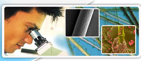 The results will not and can not detect the specific day of drug use. Pass A Hair Follicle Drug Test: Is it Possible to Pass a ...