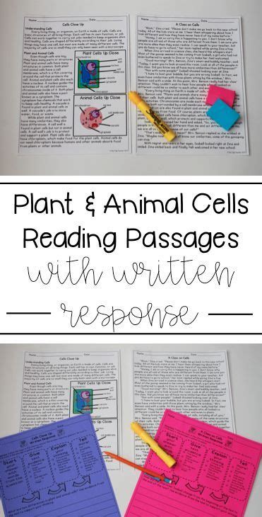 Check spelling or type a new query. Plant and Animal Cells Reading Comprehension Paired ...