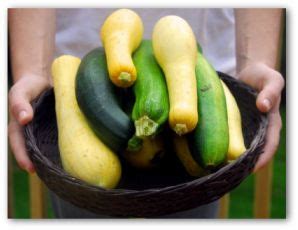 Is there some way to prevent this? Growing Squash of Different Varieties
