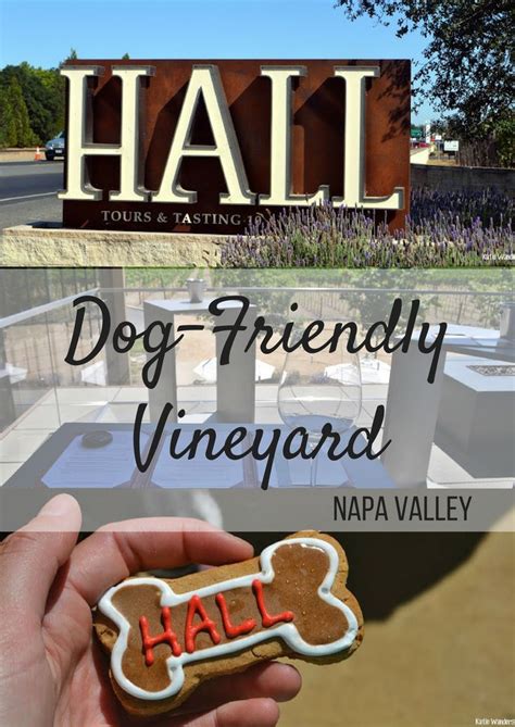 We stopped by without booking on a thursday morning and were greeted by a friendly face. All about this amazing dog-friendly vineyard in Napa ...