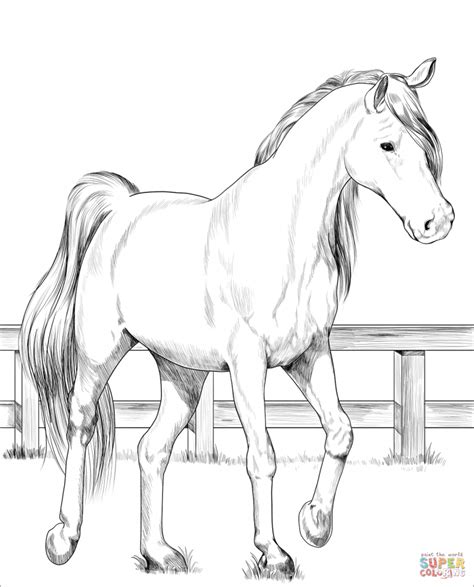⭐ free printable horse coloring book. Free Printable Coloring Pages regarding Trakehner Horse ...