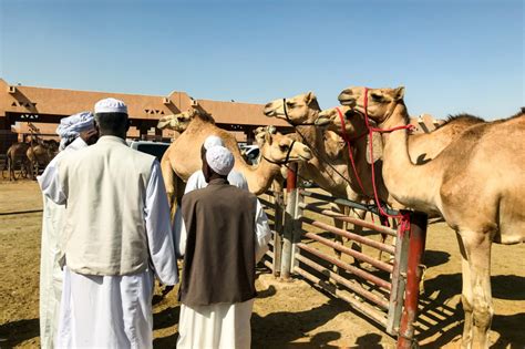 The bawadi mall in al ain, abu dhabi, is big and brand new, and like any good mall it's got everything you pretty much could ever want. Ultimate guide to Al Ain 2019 | Things To Do, Seven ...