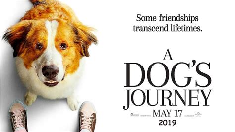 Can't find a movie or tv show? Movie Review: "A Dog's Journey"