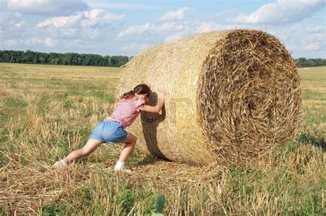 Fresh grass hay, newly baled. Barn skubber en balle hø | stock foto | Colourbox