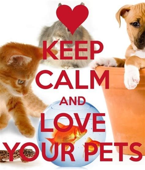 Love your pet are pet care specialists in melbourne, victoria, operated by ursula juffermans. Pin by Emma Massie on keep calm | Love your pet, Keep calm ...