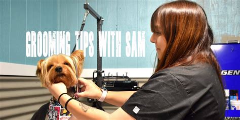 While our personalized mobile pet grooming of san antonio provides the safest environment from the spread of parasites or airborne illness, all canines need proof of immunization for any pet services, including mobile ones. San Antonio Dog Groomer | Pawderosa Ranch