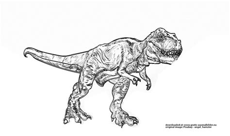 Malvorlage trex coloring and malvorlagan. Tyrannosaurus Rex - Gratis Ausmalbild