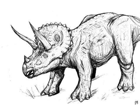 How big is the head of a triceratops? Triceratops Sketch by ahunterinsilence on DeviantArt