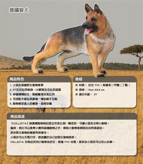 See more of 德國狼犬duke與太陽鳥的生活雜記 on facebook. 【CollectA】德國狼犬 - PChome 24h購物
