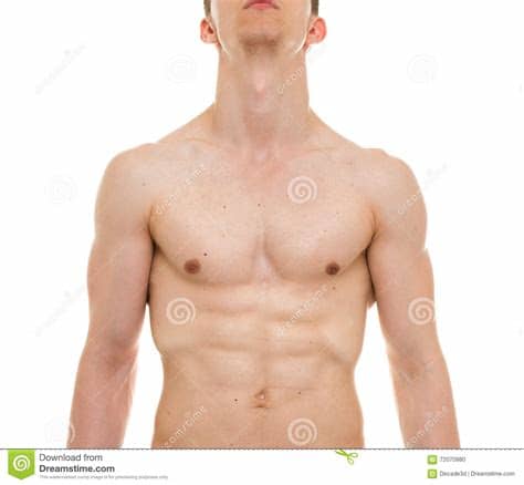 882 male anatomy front view free vectors on ai, svg, eps or cdr. Male Chest Anatomy - Man Muscles Front View Stock Photo ...